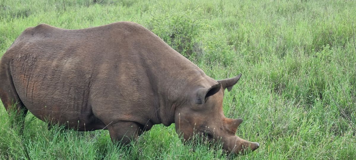 Abenteuer Tansania - Intensiv & aktiv erleben 6