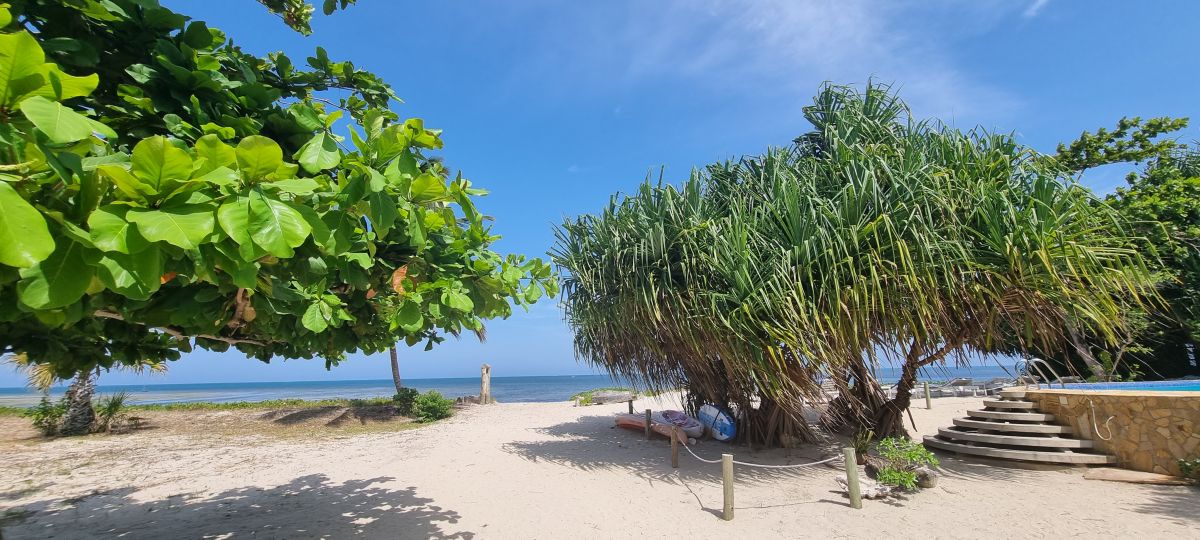 Abenteuer Tansania - Intensiv & aktiv erleben 7