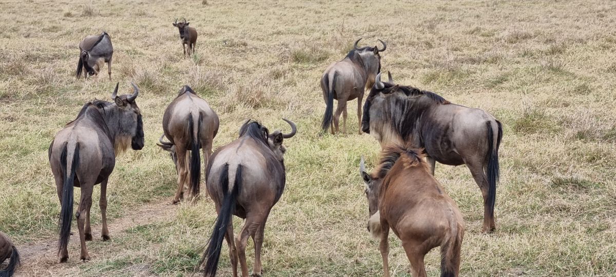 Abenteuer Tansania - Intensiv & aktiv erleben 11