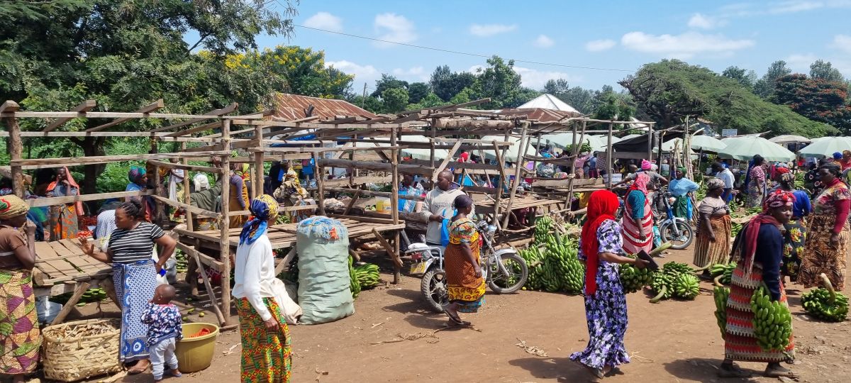 Tansania Safari "Big Five & Sansibar" 13