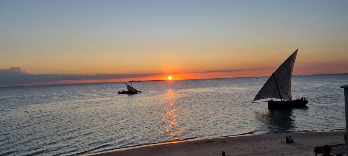 Tansania Safari "Big Five & Sansibar" 4