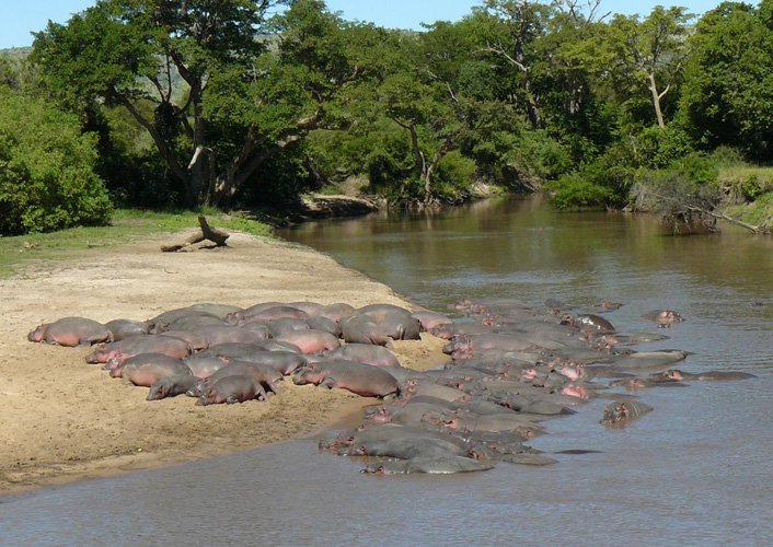 Durch das Herz von Afrika 4