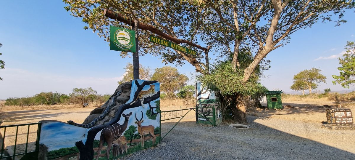 Durch den wilden Osten von Tansania & Traumstrand in Pangani 12