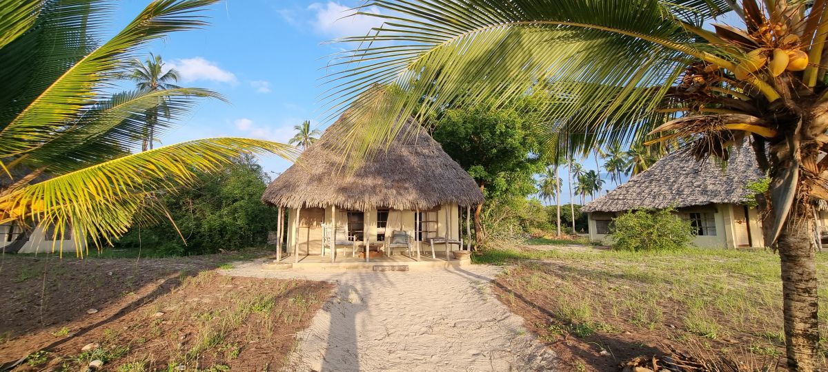 Durch den wilden Osten von Tansania & Traumstrand in Pangani 14