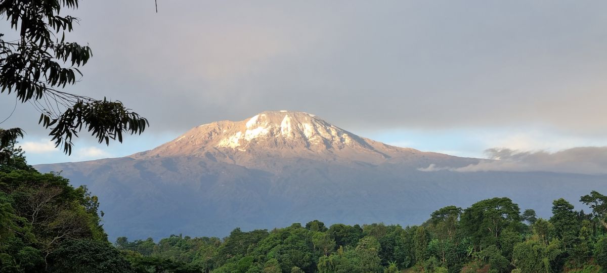 Durch den wilden Osten von Tansania & Traumstrand in Pangani 5