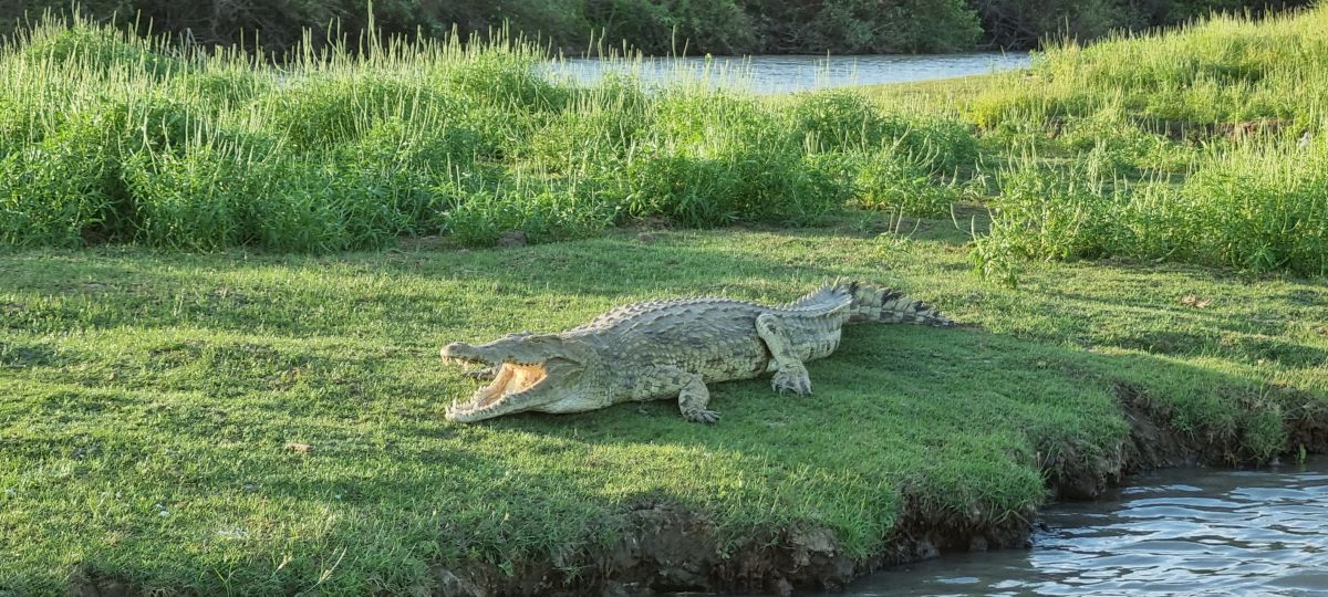 Durch den wilden Osten von Tansania & Traumstrand in Pangani 11