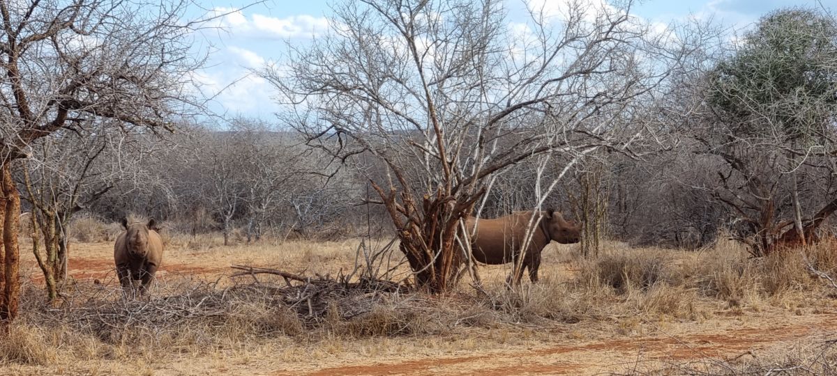 Durch den wilden Osten von Tansania & Traumstrand in Pangani 7