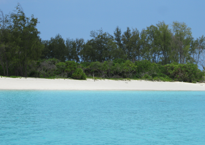 Exklusive Familien Fly Out Safari - Serengeti bis Sansibar 2