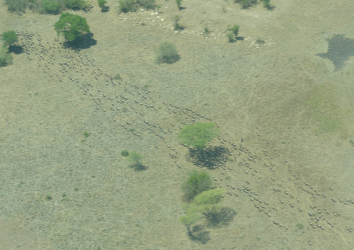 Exklusive Familien Fly Out Safari - Serengeti bis Sansibar 3