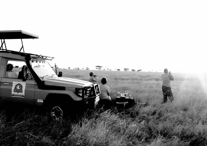 Exklusive Familien Fly Out Safari - Serengeti bis Sansibar 4