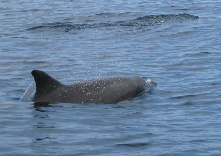 Naturschätze Tansania & Baden auf Sansibar 5