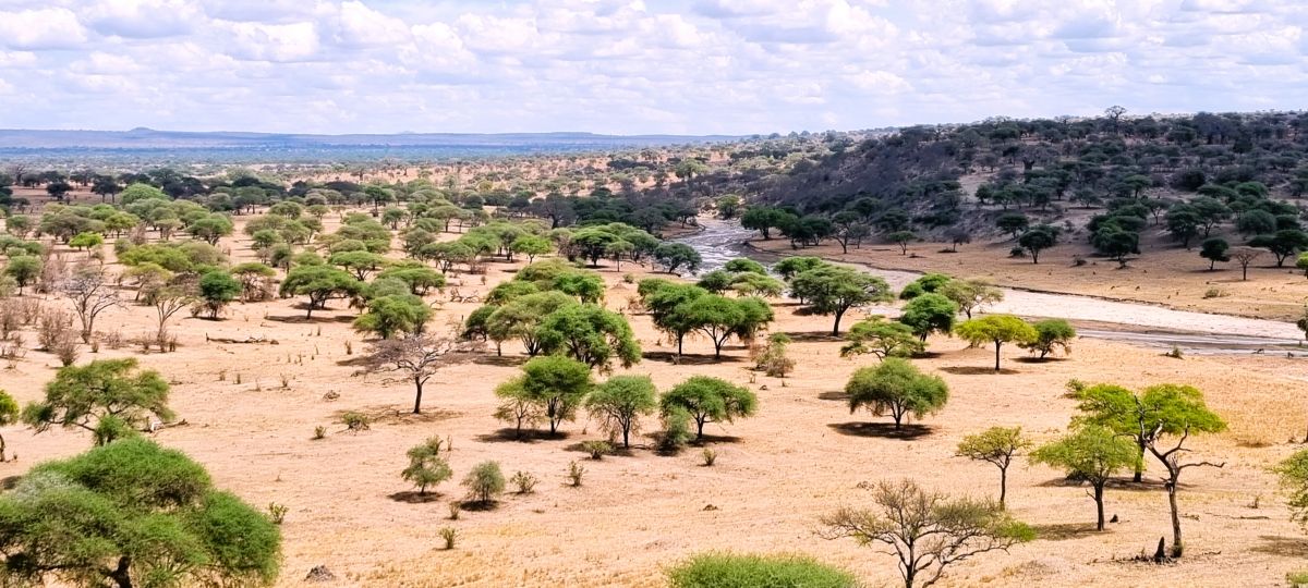 Hochzeitsreise / Flitterwochen in Tansania & Sansibar 11
