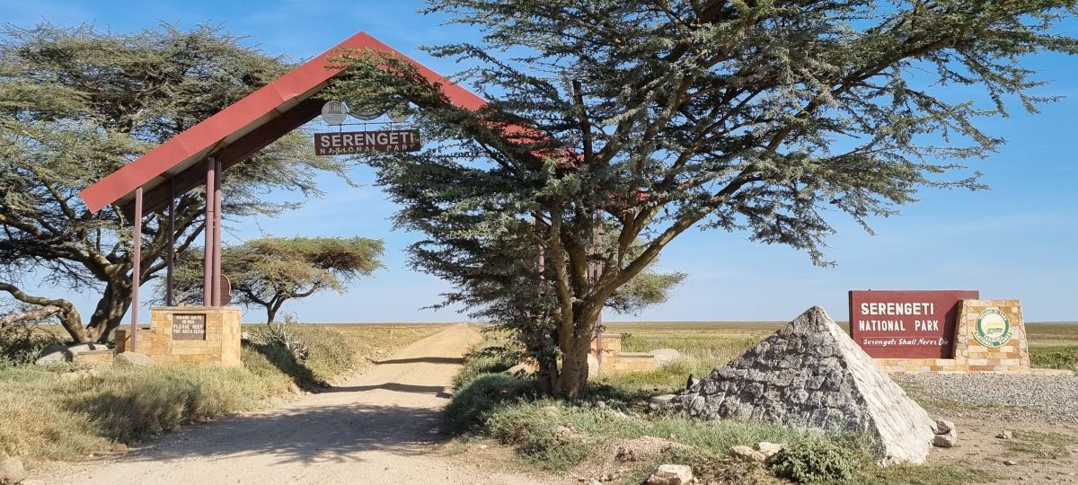 Hochzeitsreise / Flitterwochen in Tansania & Sansibar 10