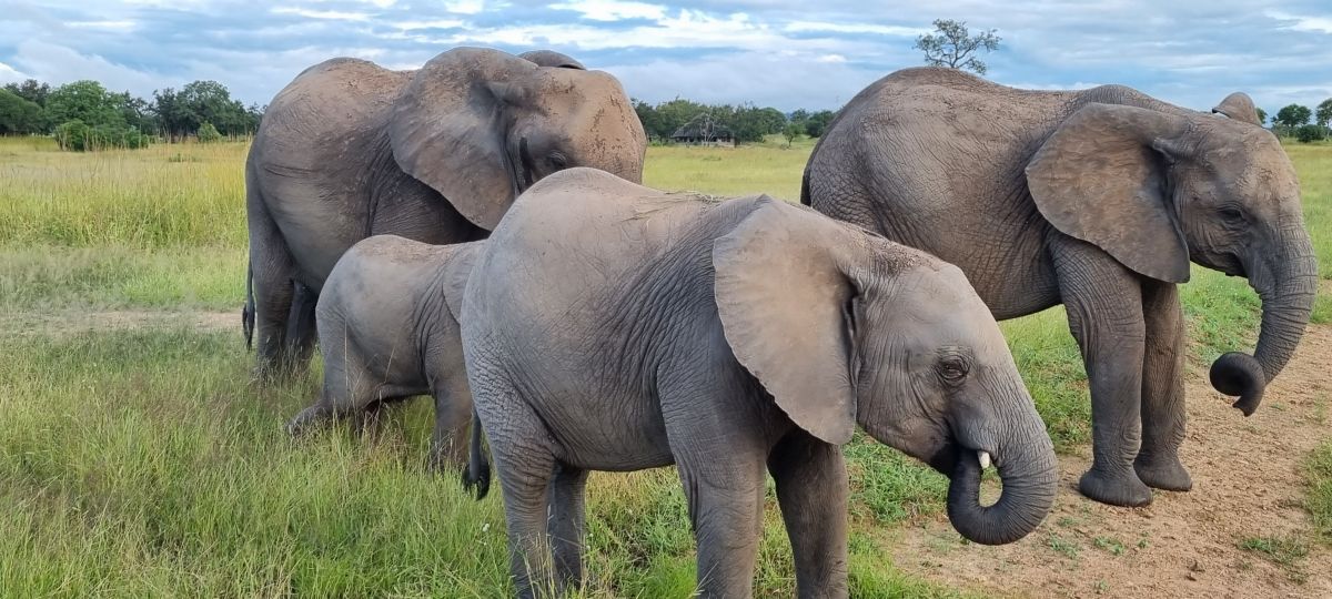 Hochzeitsreise / Flitterwochen in Tansania & Sansibar 9