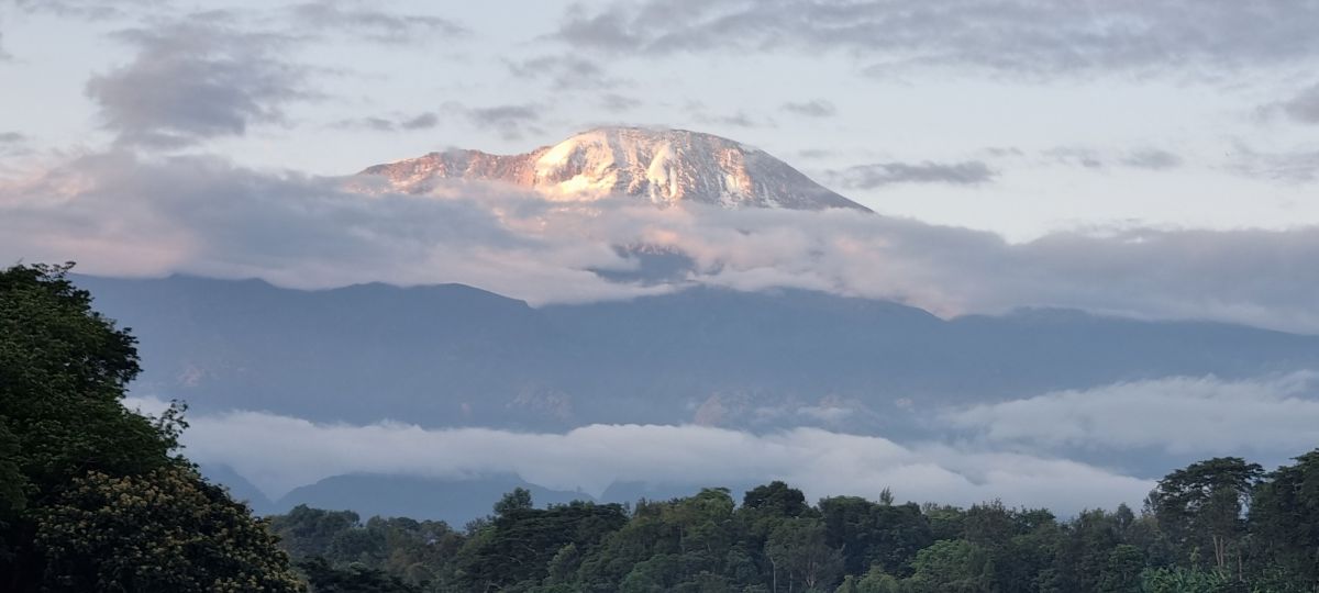 Hochzeitsreise / Flitterwochen in Tansania & Sansibar 7