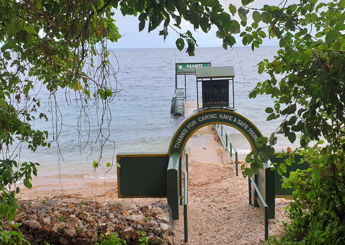 Schimpansen im Gombe-Stream-Nationalpark 2