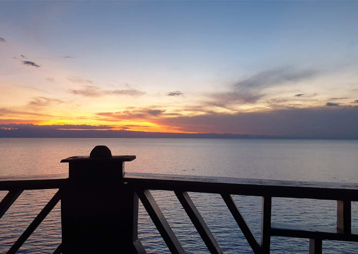 Schimpansen im Gombe-Stream-Nationalpark 5