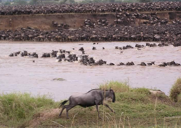 Tansania Safari Deluxe 4