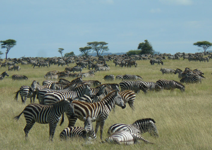 Abenteuer Tansania bis Viktoriasee 2