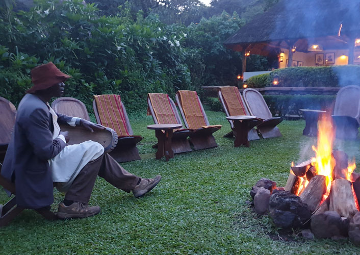 Berggorillas im Bwindi Nationalpark / Uganda 2